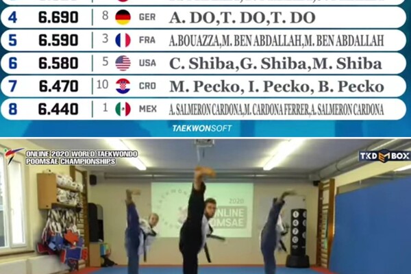 Galeriebild teakwondo_Online-WM1.jpg