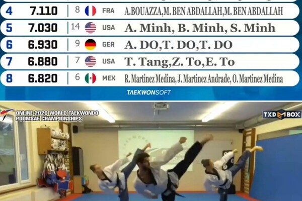 Galeriebild teakwondo_Online-WM2.jpg