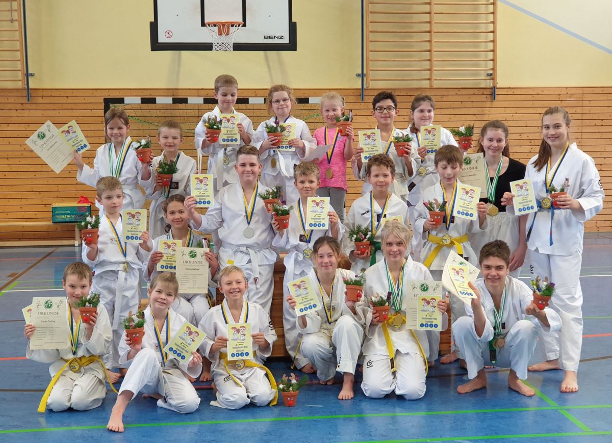 Titelbild - Vielseitigkeit beim Bautzener Taekwondo-Verein