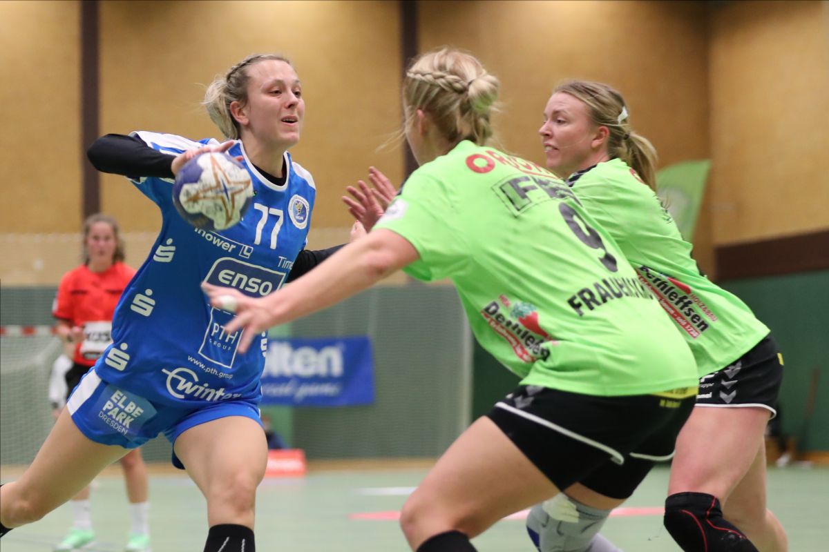 Titelbild - Saisonfinale im Bienenstock
