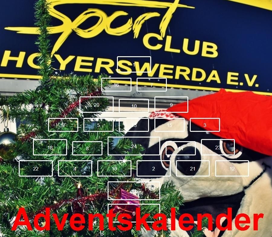 Titelbild Der Sportclub Hoyerswerda e.V. geht sportlich durch die Weihnachtszeit